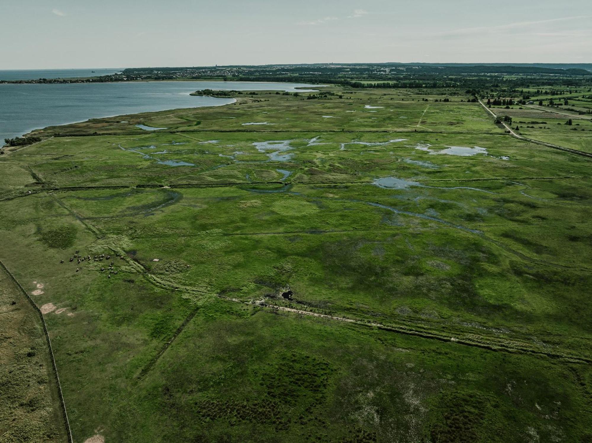 Male Letnisko Oslonino, Artystyczne Przy Plazy Holiday home Oslonino